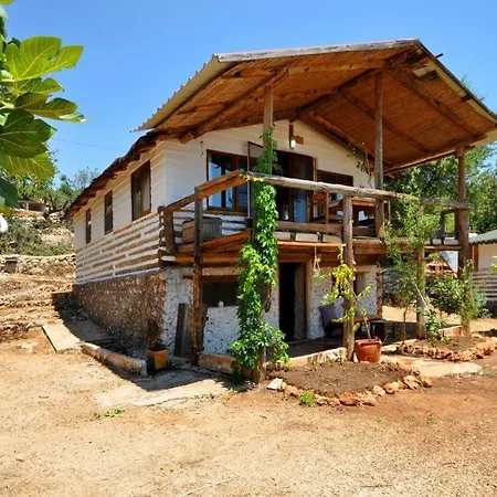 Mektephan * Kaş