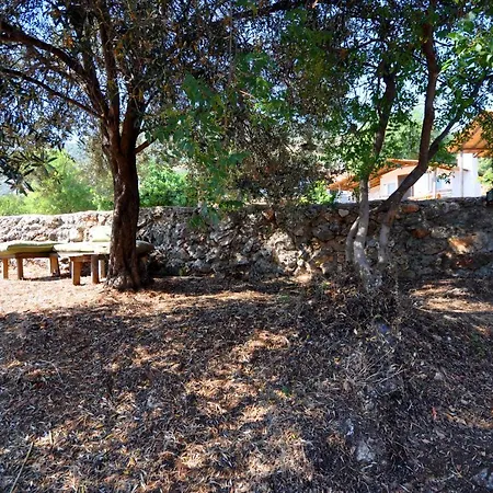 Mektephan אתר קמפינג קס